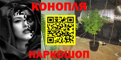 сатива Ярцево