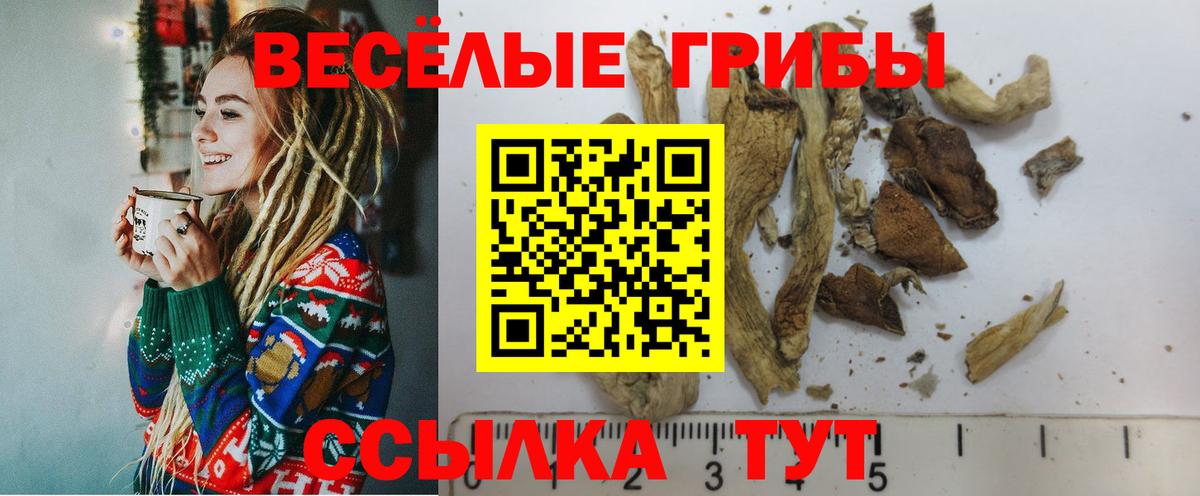 Псилоцибиновые грибы Psilocybe  Вход с VPN  Братск  Псилоцибиновые грибы Psilocybine cubensis 